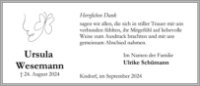 eine Anzeige